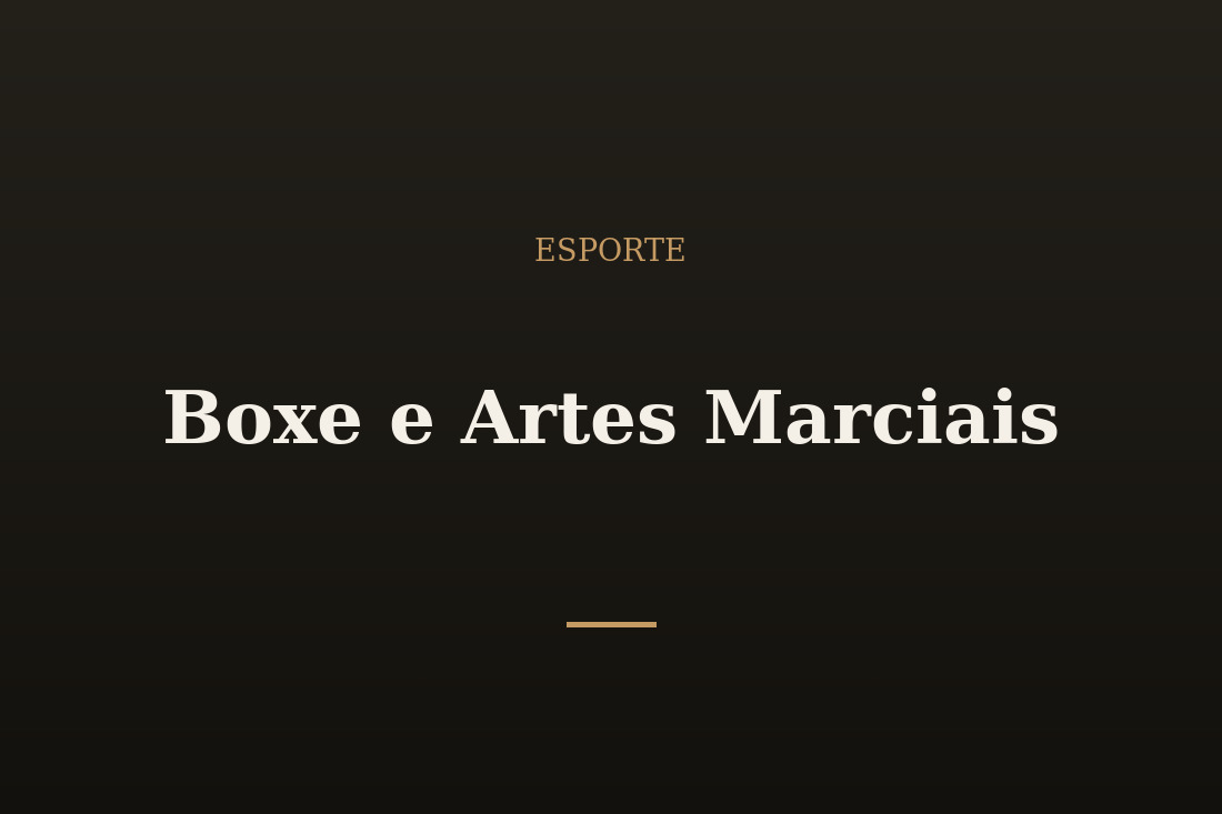 Luvas de boxe masculinas